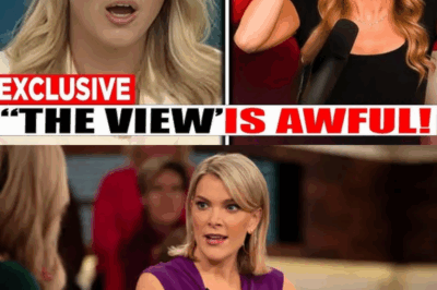 Karoline Leavitt’s Stunning Move Shuts Down The View—Daytime TV in Chaos! Inside the Courtroom Twist That Left Hosts Reeling and the 12 Words from Megyn Kelly That No One Saw Coming. What Really Happened Behind the Scenes? The Details Everyone Is Desperate to Know—Read More Inside!