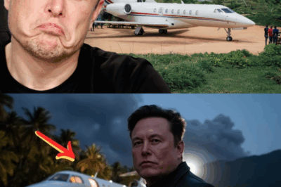 Elon Musk Stranded in Remote Village—Billionaire’s Unexpected Acts Leave Locals Stunned! Late-Night Generators, Home-Cooked Meals, and a Surprise Town Hall: What Really Happened When the World’s Most Famous CEO Was Forced Off the Grid? The Inside Story Will Change What You Think About Tech Titans!