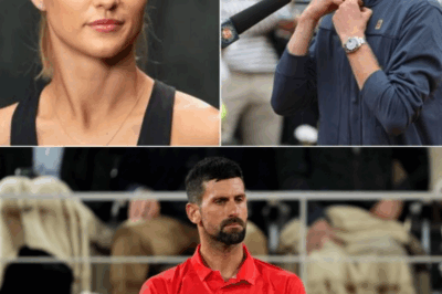 Sinner’s Girlfriend Issues Fiery Threat to Djokovic Amid Explosive Legal Feud—Shocking Accusations and High-Stakes Ultimatum Rock Tennis World! What Did She Say, and Why Is the Sport’s Biggest Star in the Crosshairs? Full Story Inside!