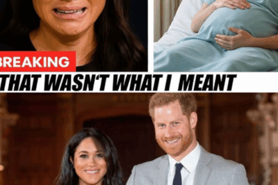 Surrogate Breaks Silence: Explosive Claims Meghan Accepted Secret Payment to Conceal Archie’s Real Story—What’s the Truth Behind the Royal Birth Mystery? Shocking New Revelations Raise Questions About Palace Secrets and Public Deception. Full Details Inside—You Won’t Believe What Insiders Are Now Alleging!