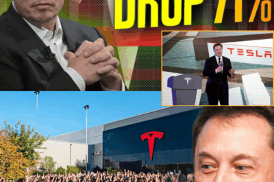 SH*CKING: Elon Musk Faces Unprecedented Crisis—Tesla in Turmoil as Stunning Numbers Rock Wall Street. What’s Behind the Sudden Collapse?