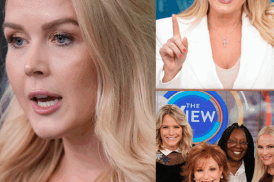 STUNNED: $800 Million Lawsuit Erupts—Karoline Leavitt Fires Back as ‘The View’ Reels from Legal Bombshell. What Triggered the Showdown—and Is There Any Way Out?