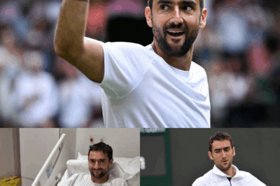STUNNING COMEBACK: Marin Cilic Returns After Knee Surgery, Upsets World No. 4 at Wimbledon—Delivers 15 Jaw-Dropping Statements That Leave Tennis World Reeling! What Did Cilic Reveal After His Epic Victory? Find Out the Shocking Details Inside!