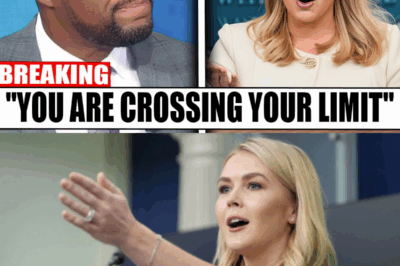 “You Picked The Wrong Woman To Try And Humiliate — I Don’t Flinch, I Fire Back.” With that cold, unshakable line, Karoline Leavitt shut down a cocky ex-NFL star who tried to mock her on live TV. Her fearless clapback left the studio silent and the internet on fire. WATCH BELOW