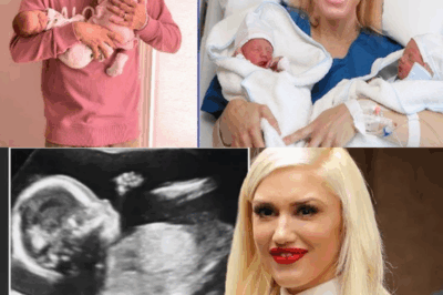 IT’S OFFICIAL! Gwen Stefani Confirms She’s Expecting a Baby with Blake Shelton—Reveals the Real Reason for Her Recent Absence and Shares She’s Already Dreaming of Having a Baby Girl!