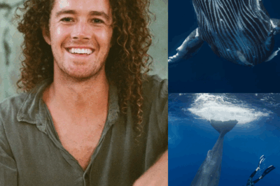 BREAKING: While countless people claim an indescribable bond with their beloved pets, especially dogs, underwater photographer Jono Allen has forged an extraordinary and unparalleled connection with whales—one that runs even deeper than the vast oceans he explores on his dives.
