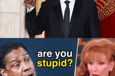 DENZEL UNFILTERED: 10 Times Hollywood’s Most Respected Star Left Rude Interviewers Speechless—You Won’t Believe What He Said On Live TV! The Unforgettable Comebacks, The Viral Moments, And The Real Reason Fans Are Still Talking. See Why No One Dares Challenge Denzel Twice. Full Story Inside!
