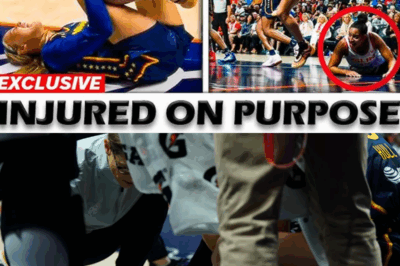 CONTROVERSY ERUPTS in WNBA Fever Game—Sophie Cunningham INJURED After INTENSE Collision, Cameras Catch Sun’s Bria Hartley REACTING Moments Later! FANS EXPRESS SHOCK and DEMAND ANSWERS as Debate Over Incident GROWS—What’s the TRUE STORY Behind the Video Everyone’s TALKING About?